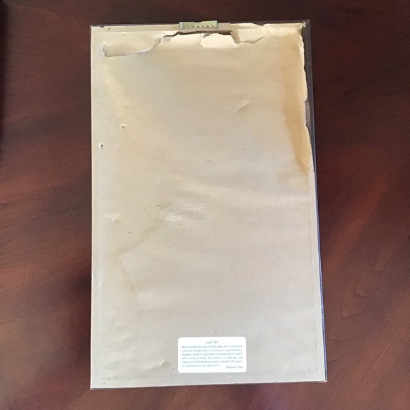 FINAL SALE Botanical Leaf Art Wall Decor - Picture 6 of 6